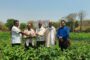 पोलीस स्टेशन अवधुतवाडी हददीतील 05 मोटार सायकल जप्त करुन 04 मोटार सायकल चोरीचे गुन्हे उघड करुन स्थानिक गुन्हे शाखा यवतमाळ यांची कारवाई.