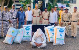 गांजा ची शेती करणाऱ्यांवर उपविभागीय पोलीस अधिकारी पुसद पथकाची रेड कारवाई